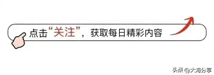 澳门2023管家婆免费开奖大全，解读：〈好团圆〉：团圆背后的法律与人性思考  