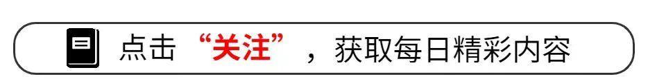 新澳门2024免费资料大全集，解读：巴勒斯坦代表气到捶桌：我们也是人，应被平等对待! 不平等与挣扎?  